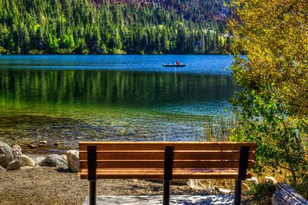 湖，六月湖，加利福尼亚州，板凳，性质
