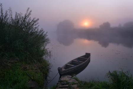 黎明，早晨，雾，船，乌格拉，夏天，扎马克尤金