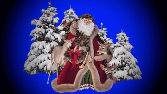 圣诞老人，驯鹿，冷杉，雪，圣诞节，新的一年