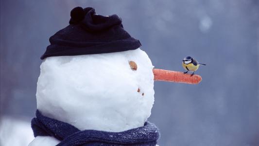 嘴，坚果，眼睛，冬天，雪，胡萝卜，鼻子，雪人
