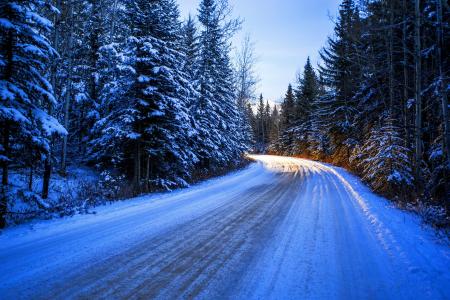 冬天，转，道路，森林，晚上，性质