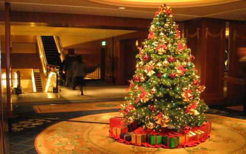 圣诞树，大厅，新的一年