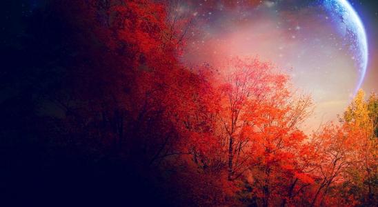 梦幻般的景观，天空中的星球，深红色的树木，夜晚，秋天