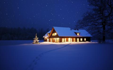 房子，光，度假，人字形，痕迹，路径，天空，星星，树，雪，新的一年