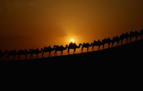 大篷车，骆驼，沙漠，日落