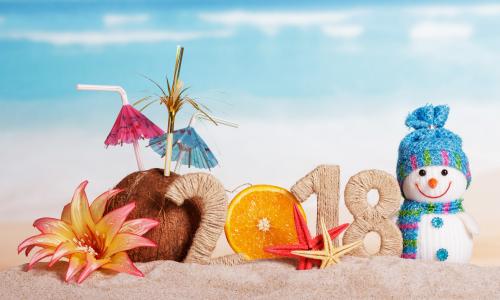 假期，新年，2018年，数字，玩具，雪人，椰子，花，沙滩，沙子