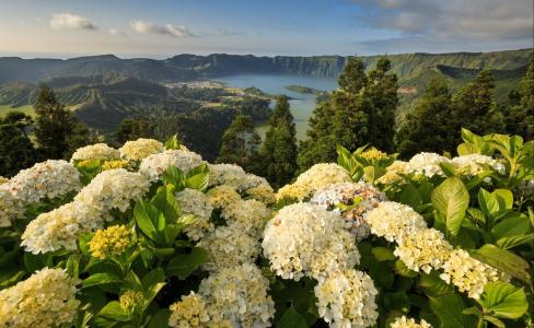 自然，景观，泻湖的七个城市 -  Mosteiros，亚速尔群岛，葡萄牙绣球花，葡萄牙，亚速尔群岛