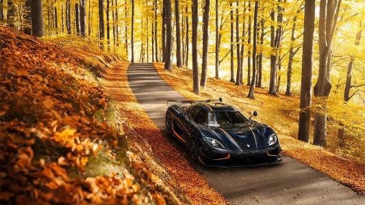 科尼赛克，超级跑车，秋天，自然，美丽