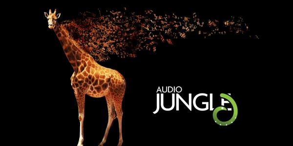 音频丛林，草食动物，长颈鹿，音乐，长颈鹿，骆驼，动物