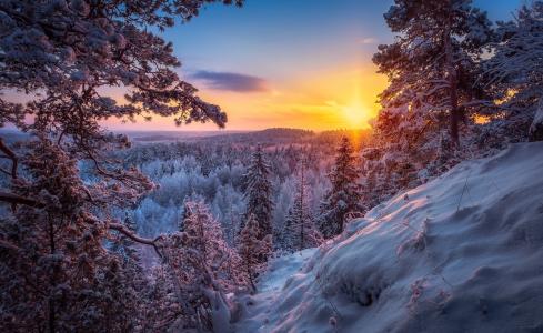 冬天，芬兰，照片，劳里Lohi，景观，森林，雪，早上，日出