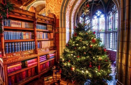 节日，新年，圣诞节，新年，圣诞节，树，礼物，房间，内阁，书籍，拱门，窗口，壁画