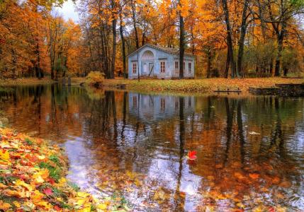Tsarskoe Selo，秋天，圣彼得堡，十月，摄影师Gordeev Eduard，水，自然，房屋，树木