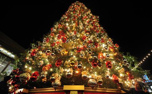 圣诞树，灯，Gerland，饰品