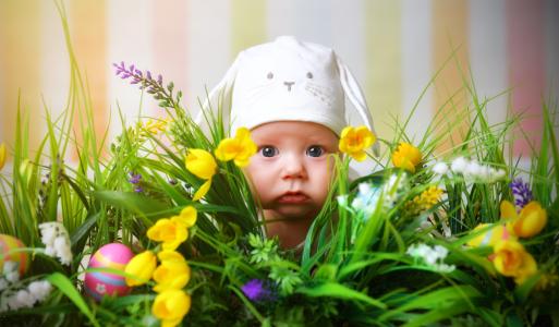 婴儿，孩子，帽，耳朵，脸，兔子，草，鲜花，郁金香，鸡蛋，krashenki，复活节