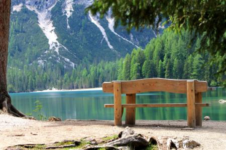 湖，山，树，长凳，奥地利，蒂罗尔