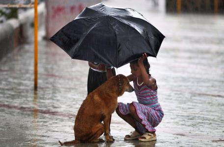 孩子，印度，雨，狗，伞，帮助，积极，照片