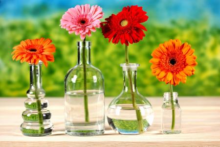 亮度，桌子，花瓶，水，菊花，瓶子，鲜花