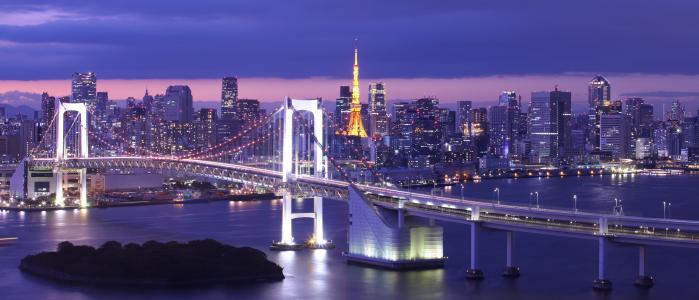 东京，日本，彩虹桥，彩虹桥，小岛，东京，城市，东京湾