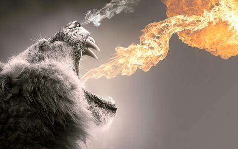 LION，GRYVA，简介，头，过去，钥匙，火，火，烟，火焰