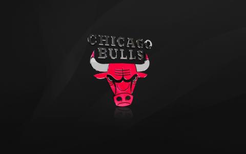 篮球，芝加哥，芝加哥公牛，标志，NBA，黑色，公牛