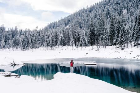 冬天，瑞士，湖，美丽，山，森林