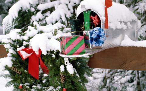 新的一年，毛皮树，冬天，礼物，圣诞节，雪，视锥细胞