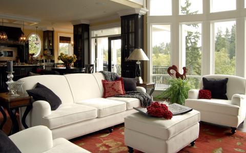 白色，室内，设计，窗户，客厅，家具。