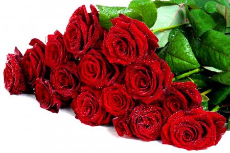 酷，花，花束，湿，玫瑰，滴，玫瑰，不错，鲜花，美丽，漂亮，可爱，红玫瑰