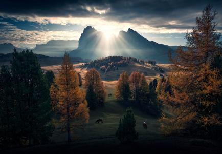 自然，秋天，摄影师，马克斯·里夫，山，白云岩，日出