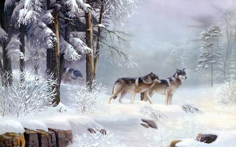 狼，冬天，雪，狂放