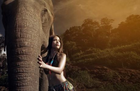 大象，女孩，丛林，亚洲，感情，友谊，hobbot，大象，丛林，女孩