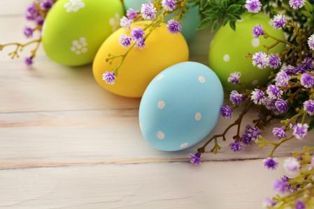 鸡蛋，复活节，假期，科，复活节，春天，复活节