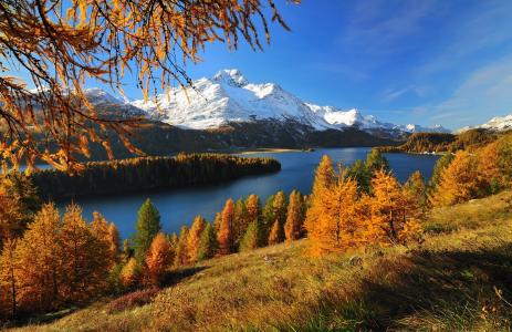 山，瑞士，阿尔卑斯山，河，美丽，性质，秋季，钓鱼