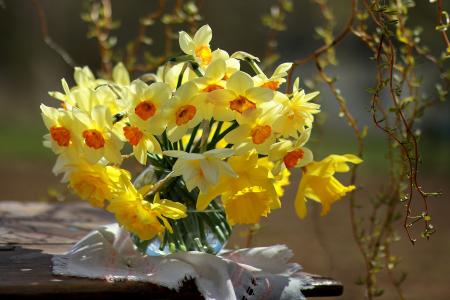花瓶，水族馆，鲜花，水仙花，餐巾，春天，树枝