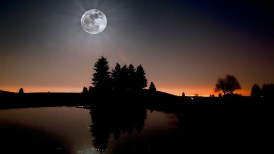 月亮，河，反思，树，夜，星级，天空