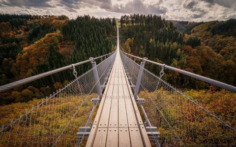 秋天，德国，丘陵，树木，桥梁，悬索桥
