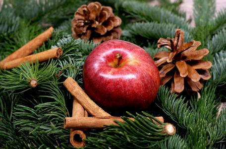 新的一年，圣诞节，树枝，针，云杉，锥，苹果，肉桂