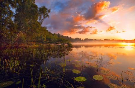 湖Vvedenskoe，早上，森林，天空，反思