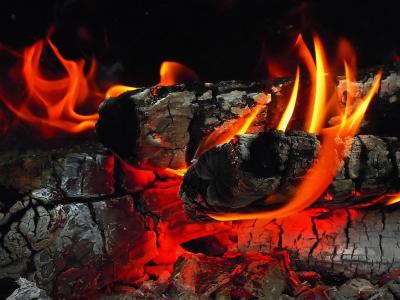 柴火，火，煤，壁炉，火焰，火，灰