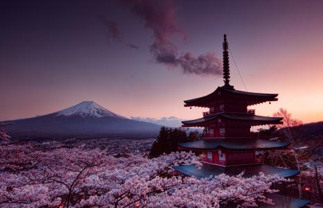 日本，山，富士山，春天
