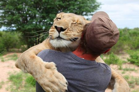 母狮，男人，友谊，积极，拥抱