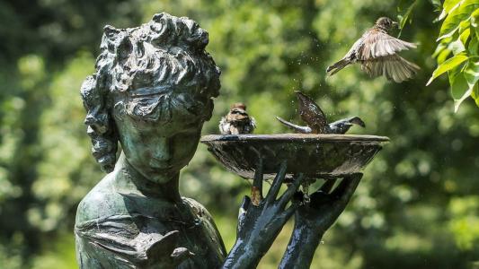 鸟，雕像，水，自然，酷，背景