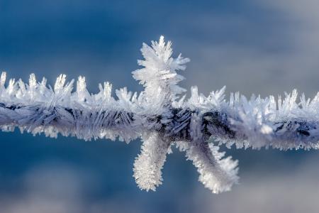 白霜，晶体形成，在冬天，铁丝网，电线，性质