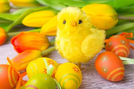 复活节，假期，板，鸡蛋，装饰，鲜花，郁金香，雕像，鸡，复活节