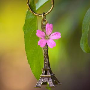 艾菲尔铁塔，钥匙链，纪念品，叶子，法国