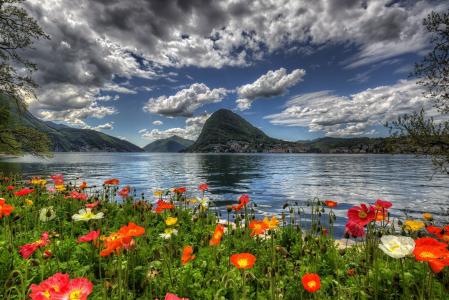 瑞士，山，湖，镇，鲜花