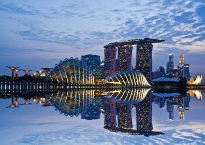 天空，倒影，海湾花园，摩天大楼，灯光，云，建筑，晚上，新加坡
