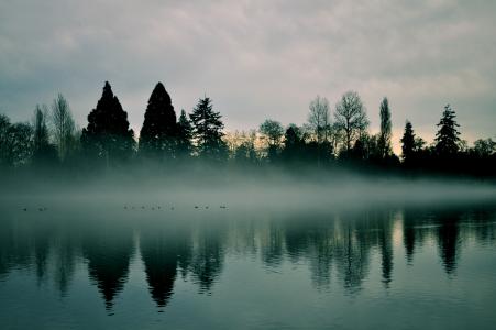 天空，河，雾，阴霾，清晨，黎明，树木