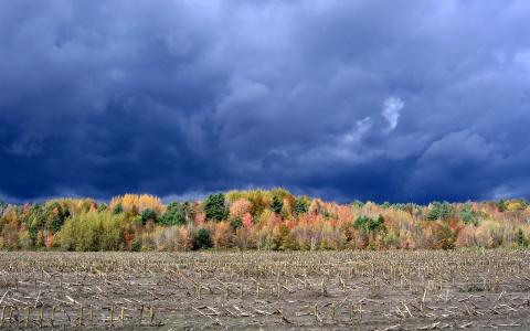 扭曲的云层，雷暴，秋天的森林