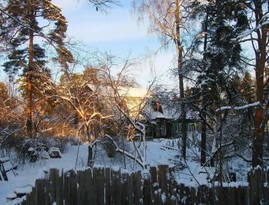 冬天，村庄，院子，雪